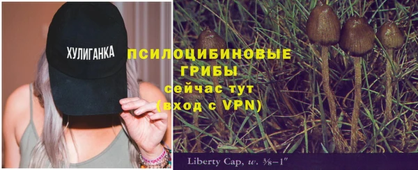 хмурый Лабытнанги