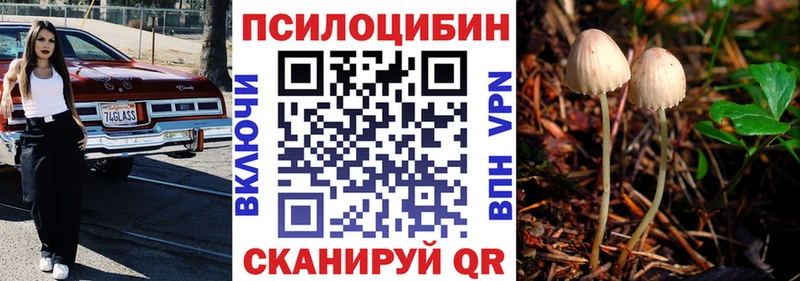 Псилоцибиновые грибы Cubensis  блэк спрут tor  Ковров 
